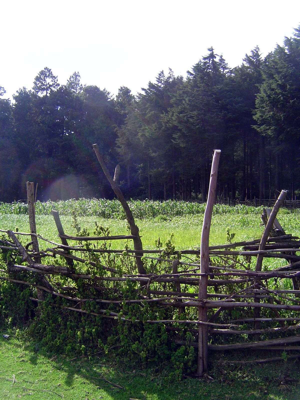 What, ho! Shall we call it a Canadian farmstead? Could almost be.
