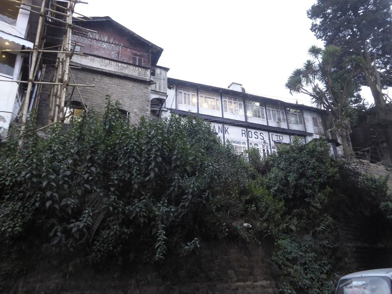 You can see at least two rows of the retaining walls that keep the pharmacy from sliding to oblivion.
