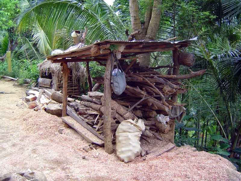 Firewood.