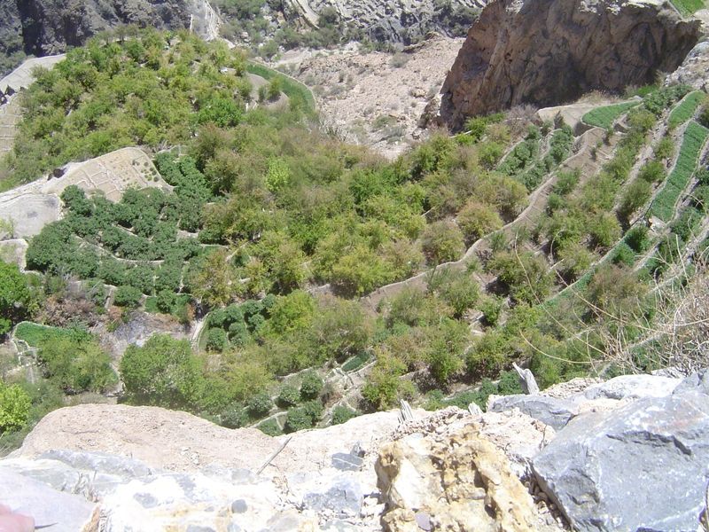A more conventional view, straight down to Al Ayn's lower terraces.