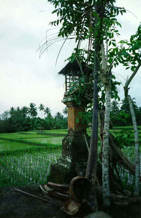 The paddy fields are dotted with thousands of temples and shrines, both large and small, dedicated to Dewi Sri, the rice goddess. Fred Eisem