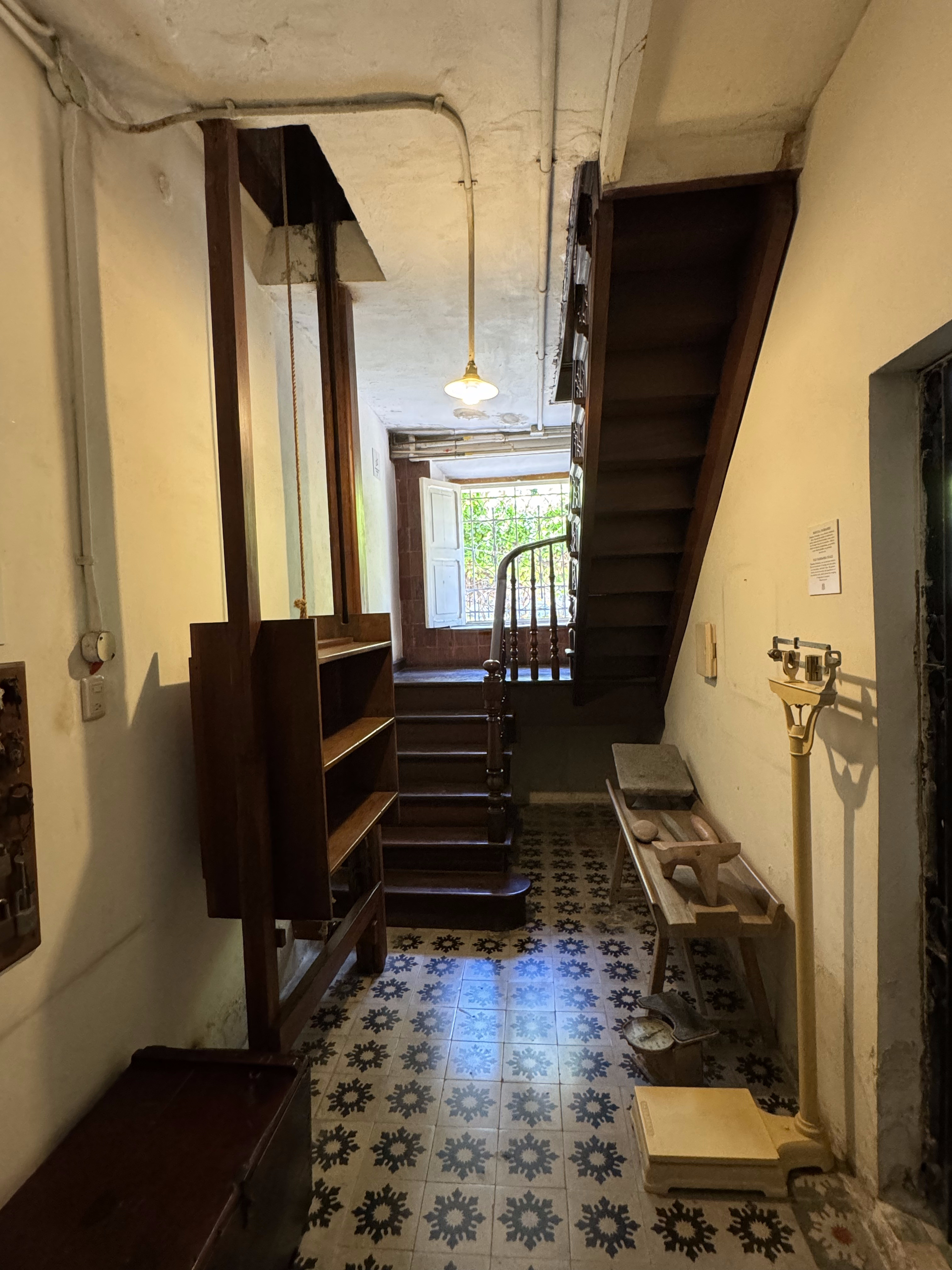 How about that dumb waiter?