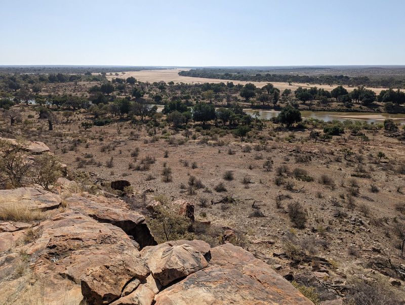 And here, seen from the top of a sandstone kopje or hill, is the great, green, not-so-greasy Limpopo. The wider swath behind it is the dry c