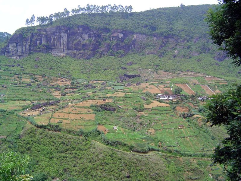 As the road approaches Nuwara Eliya, tea meets a competitor: vegetables.