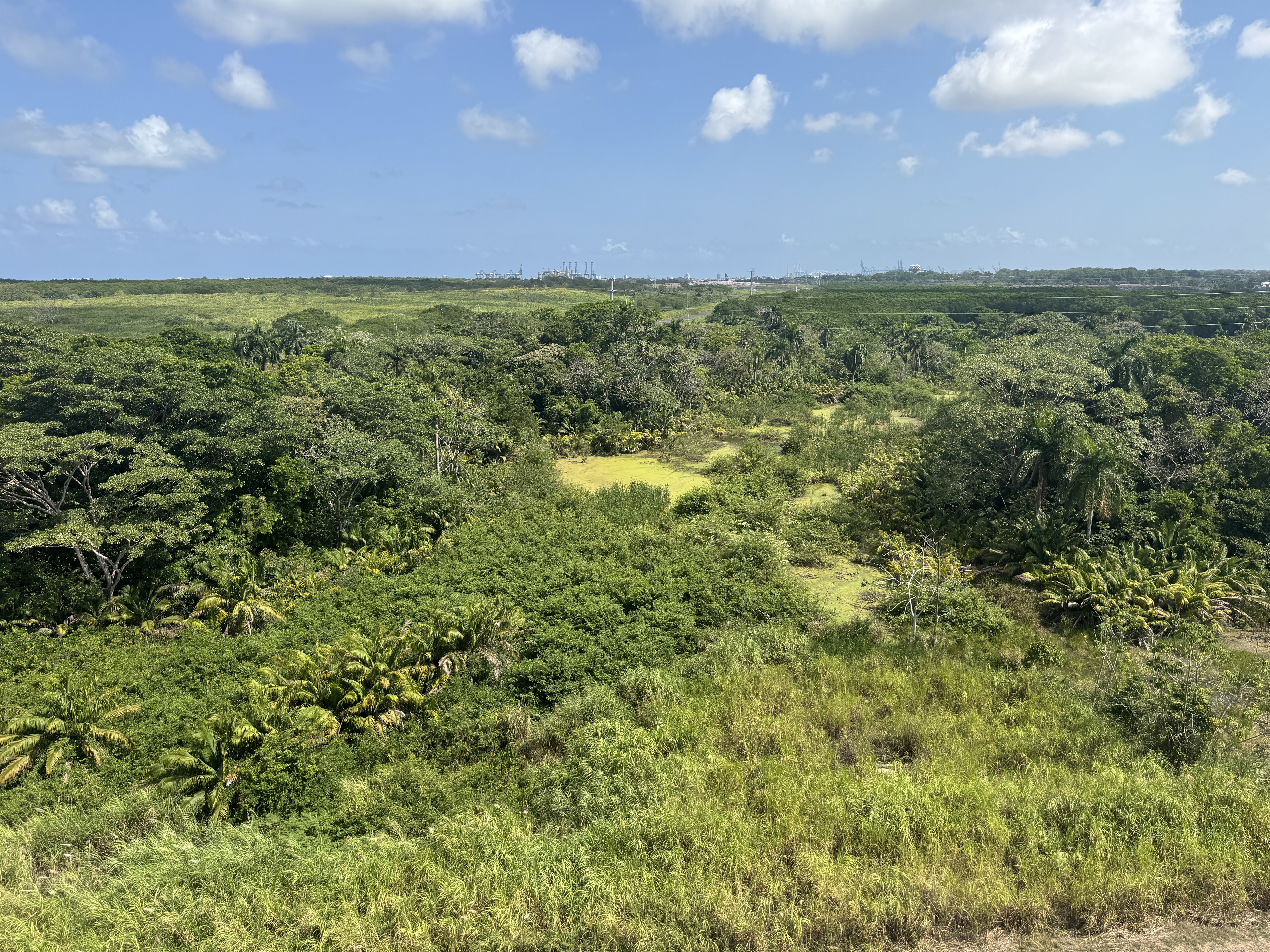 If you go below Gatun Dam, that same old canal is barely visible.