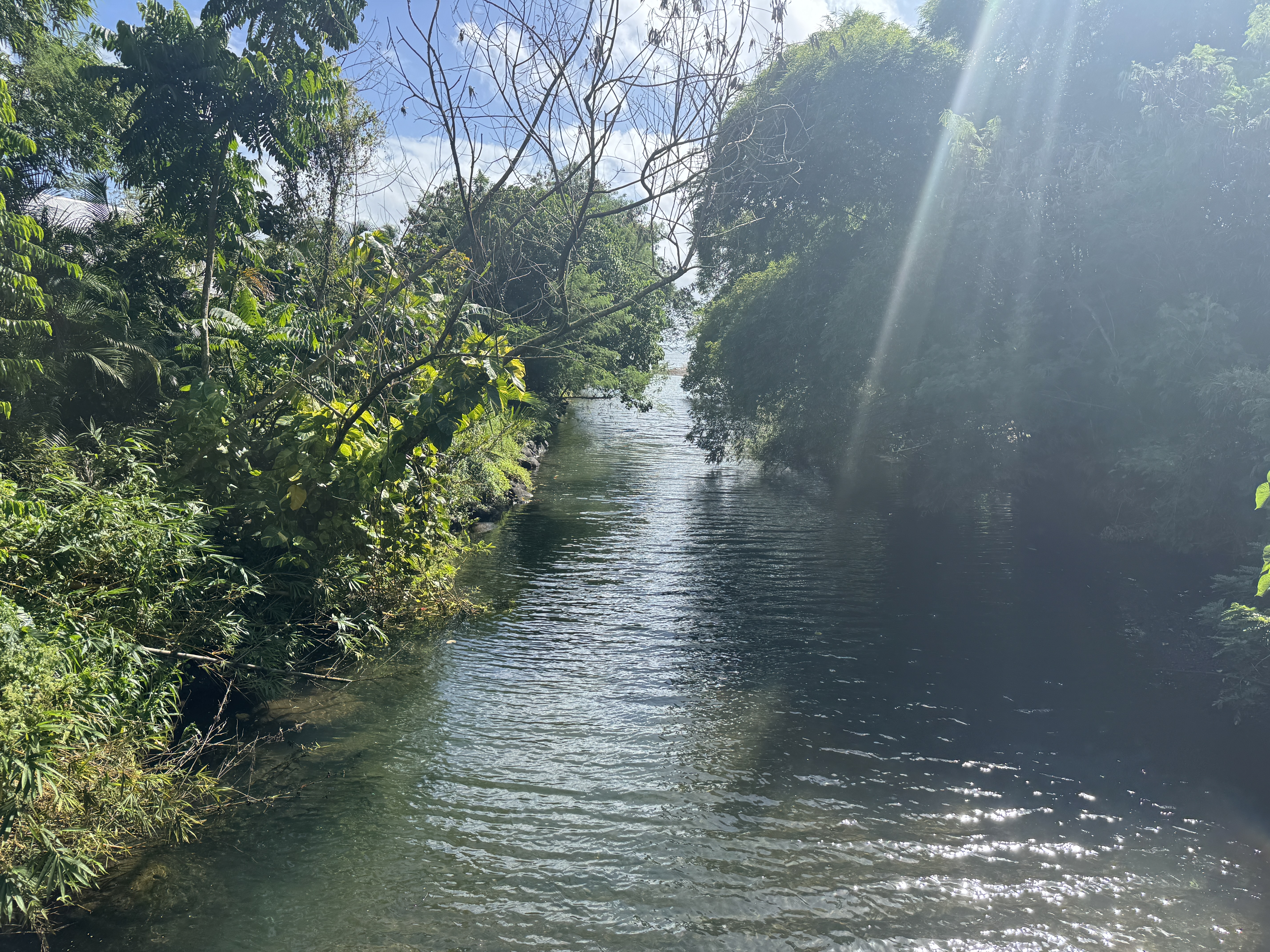 That bridge crossed this creek.