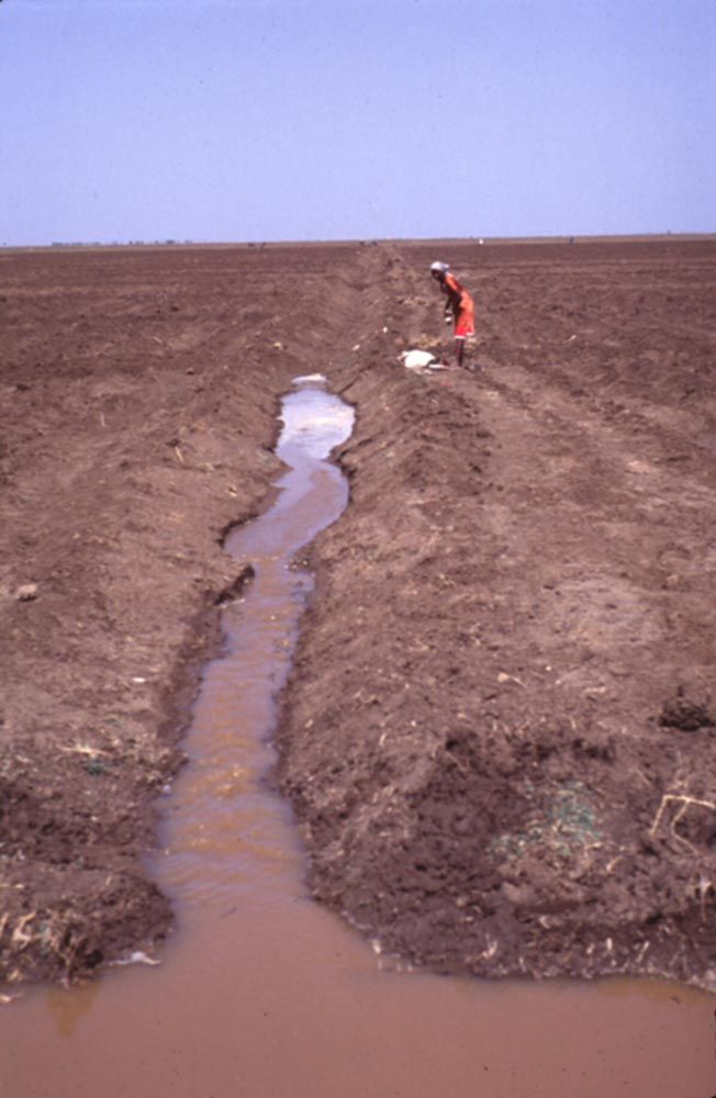 Guiding a tongue of water onto a field.