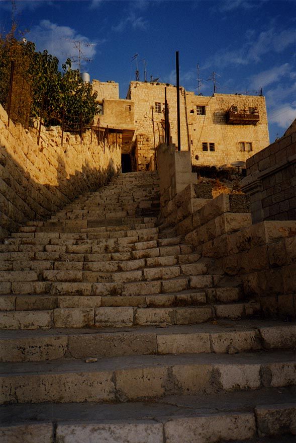 Typically, the "hosh" is a rectangular block with a courtyard and apartments arrayed around it. It's a much more Westernized—Cartesian—layou
