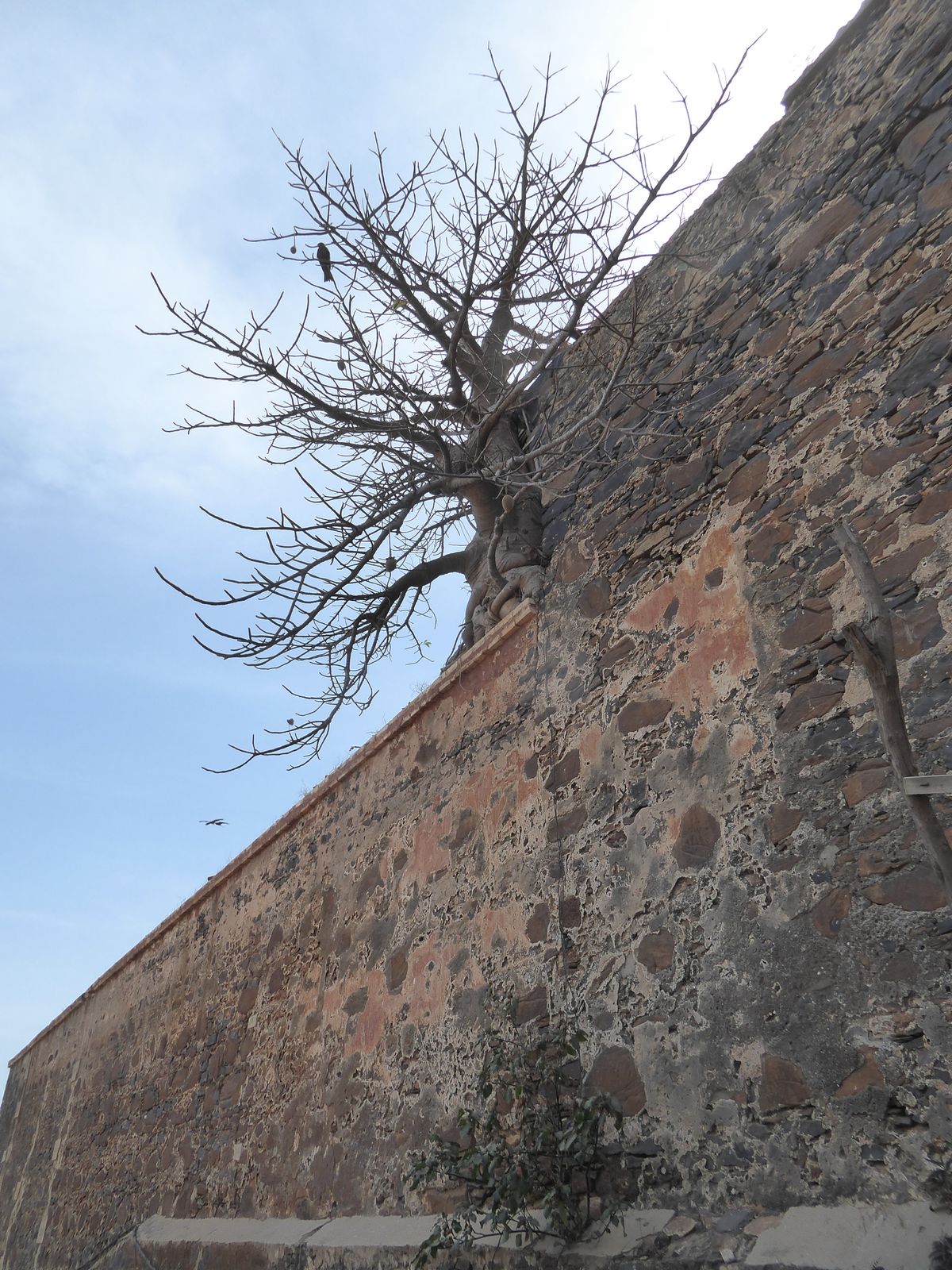 A walled section.