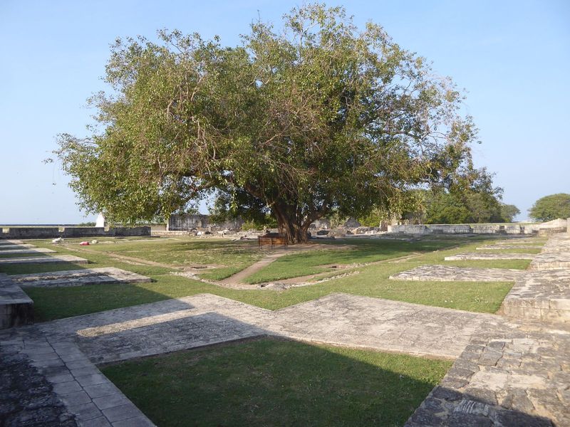The spot is interesting because a very young Leonard Woolf was stationed in Jaffna in 1905. In Growing, he writes: "It was in this bungalow 