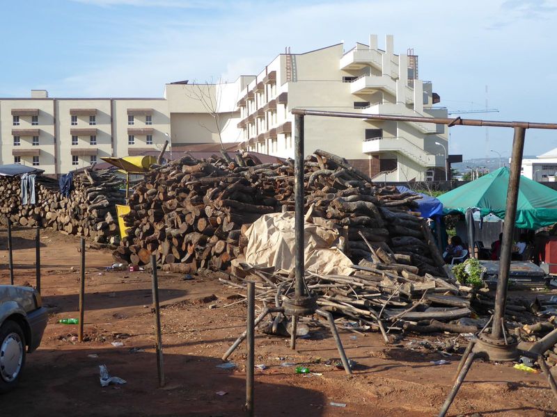 Two worlds: the Sandralia Hotel and a fuelwood store.