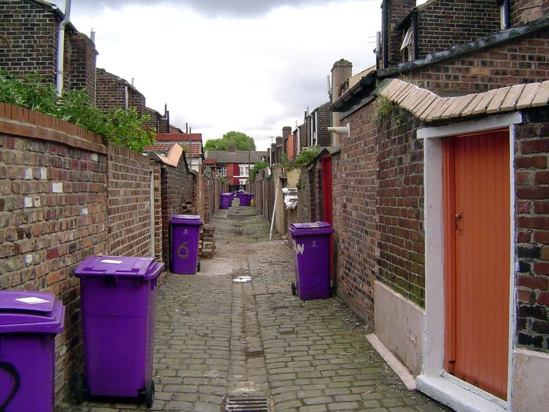 The alley view, with shocking purple garbage cans, presumably to protest the weather.