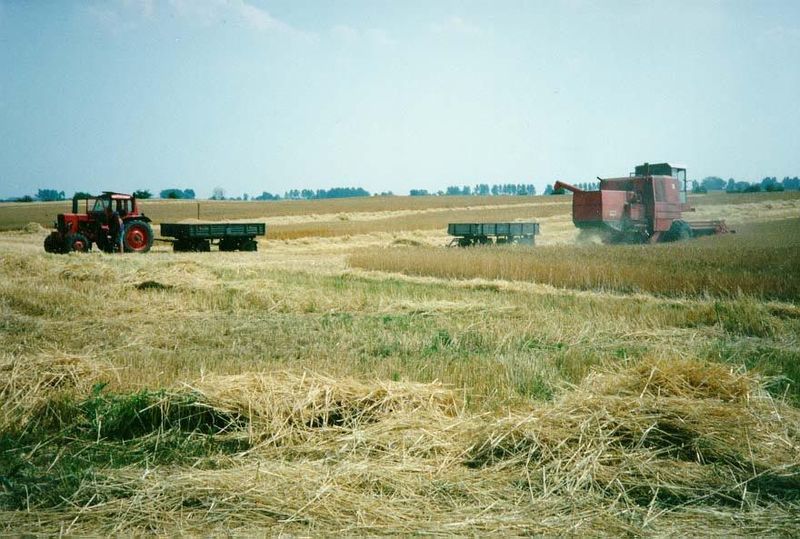 The equipment here—northeast of Torun—is a generation behind the times, but far ahead of what one sees in the east and south of the country.