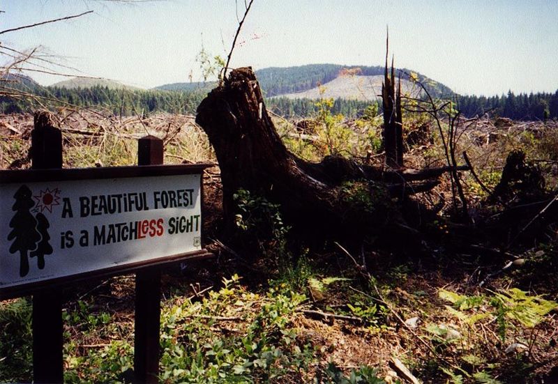 Unintended but high irony: east of Queets, on the west side of the Olympic Peninsula.