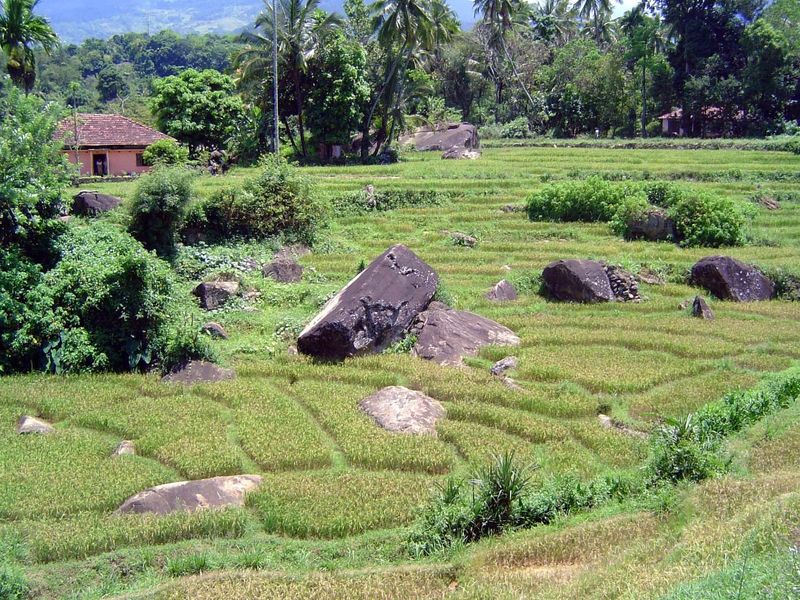 Many of the paddies are absurdly small, yet some of the villagers are reasonably prosperous, perhaps even likely because they or family memb
