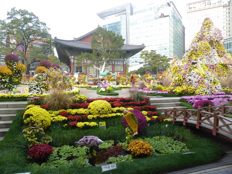 What do you think the Buddhists who prayed here centuries ago would have made of the flowers?