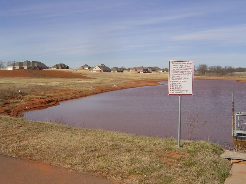 Care to swim?