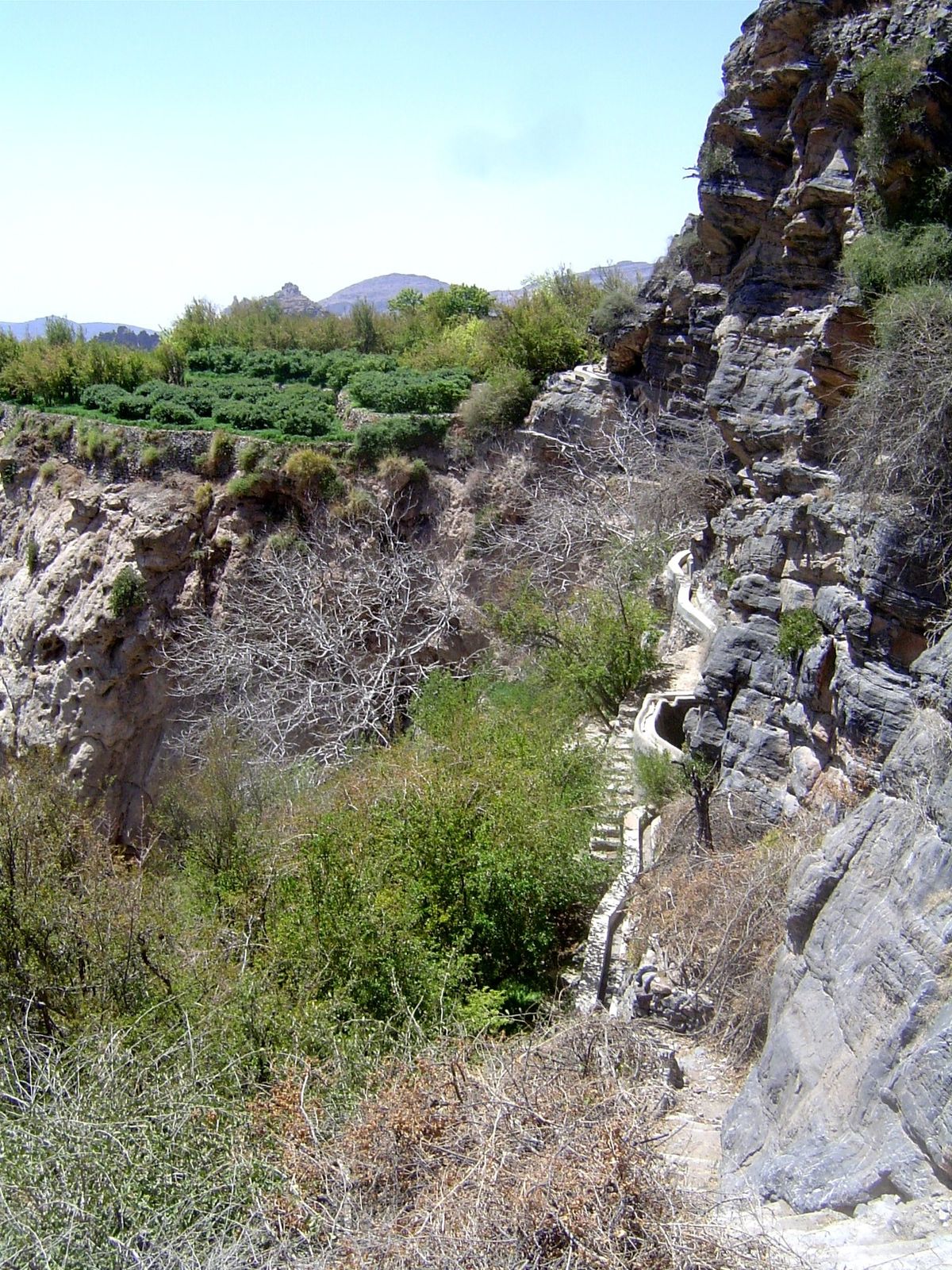Approaching Al Ayn 'the spring" and its freshly concreted irrigation ditch.