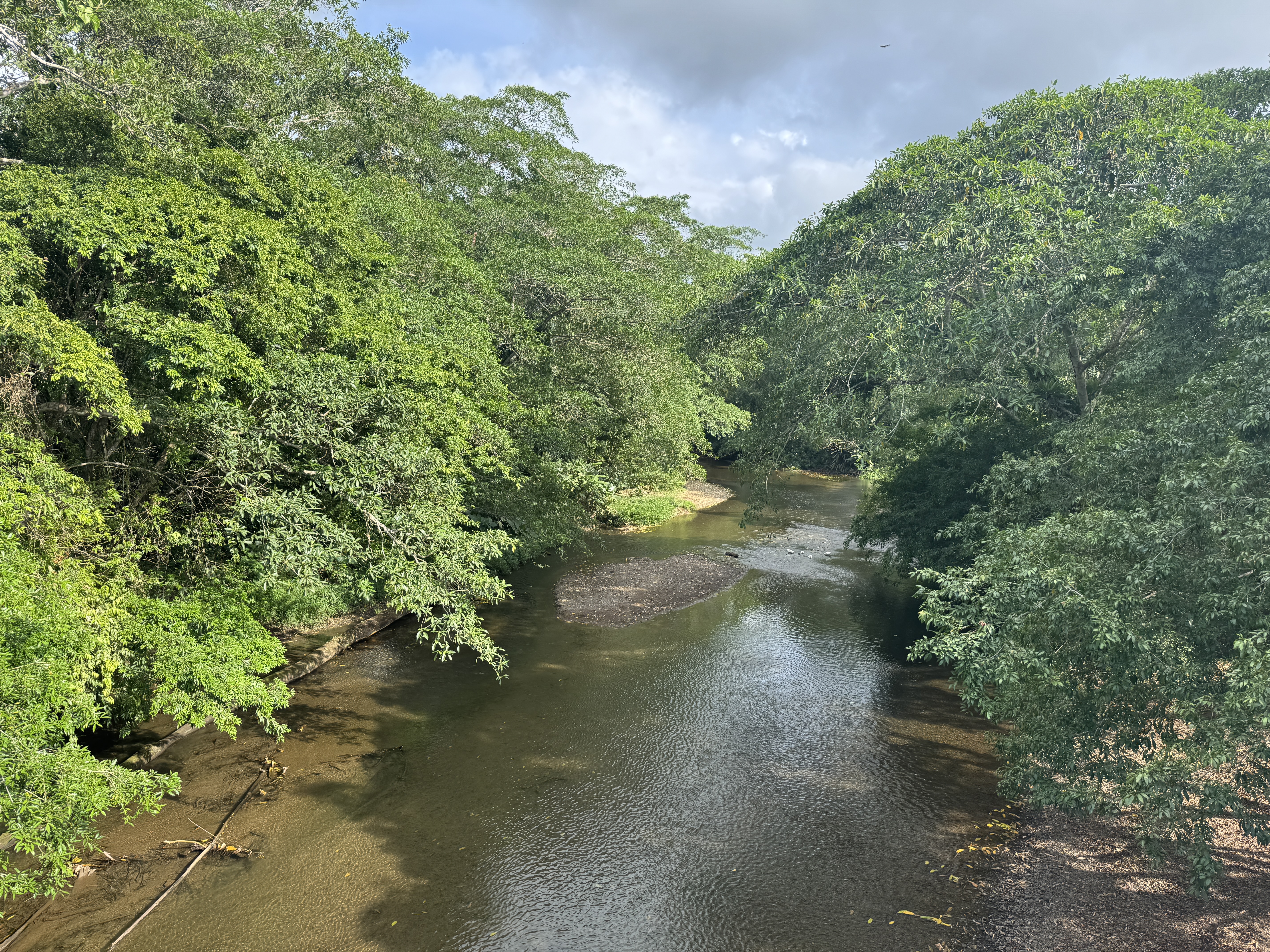 Here's another, the Rio Cascaja, which the trail followed.