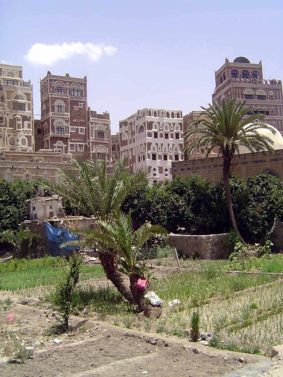 Gardens, now semi-abandoned, used to provide residents with fruit and vegetables.