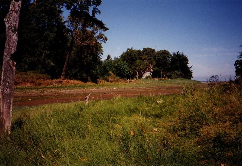 Low tide along a creek on the east coast of Vancouver Island, near Parksville.