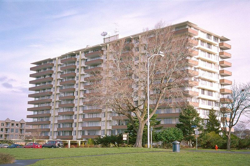 Lest anyone think that such things were done only in Oak Bay, we backtrack to Beacon Hill Park, just west of which this baby stands.