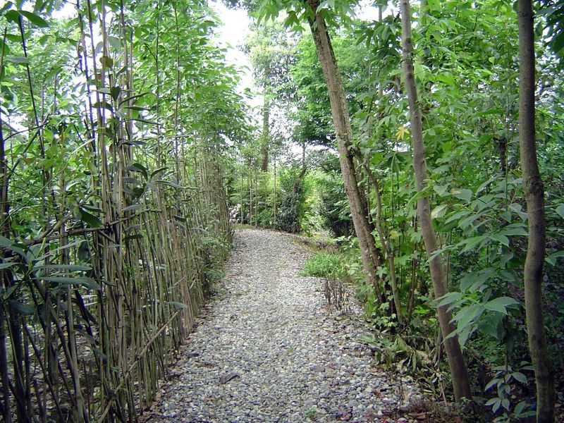 Follow the path?