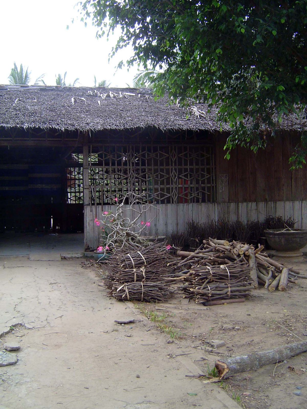 Village life must be nearby.
