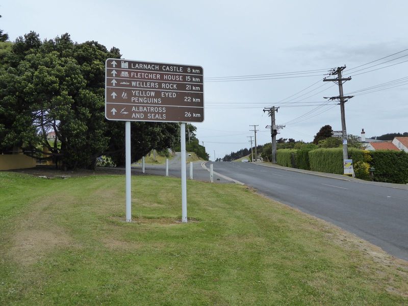 Meanwhile, there's always the Otago Peninsula, the darling of the Otago Peninsula Trust, established in 1967.