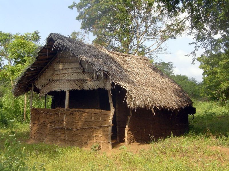 The house is traditional mud-and-wattle.