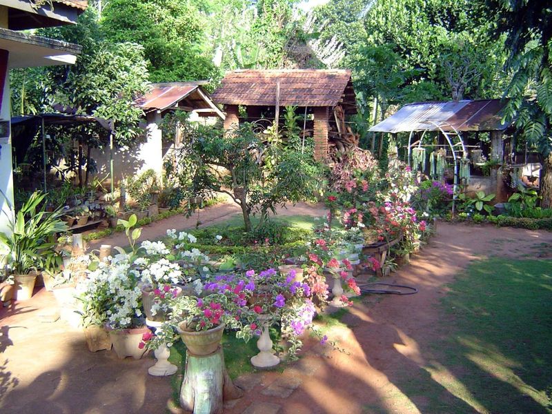 Front yard of a prosperous villager's house.