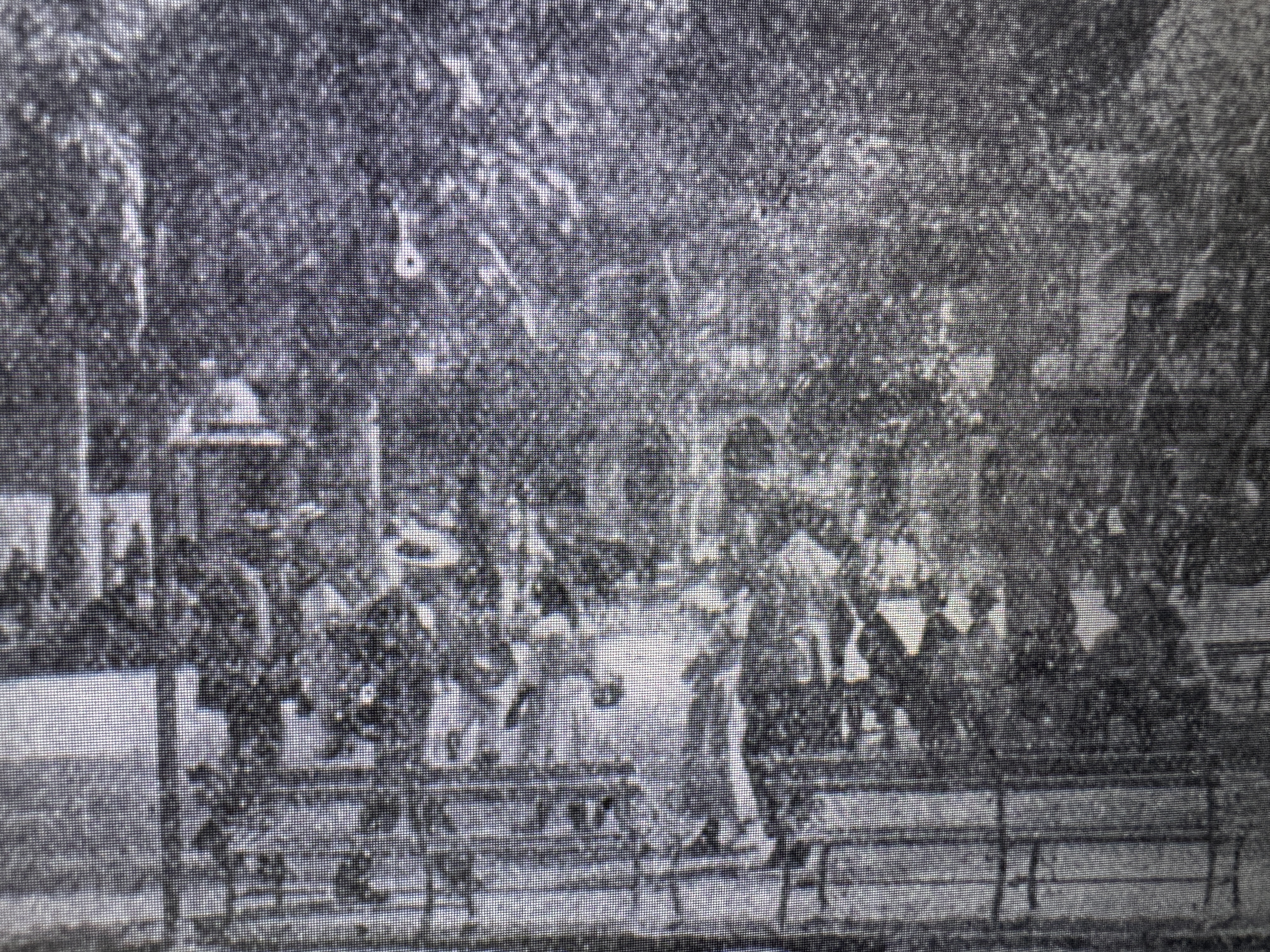 Sorry for the resolution, but here's the plaza in 1908, as seen from the cathedral and looking towards the hotel. Lots of trees, lots of peo