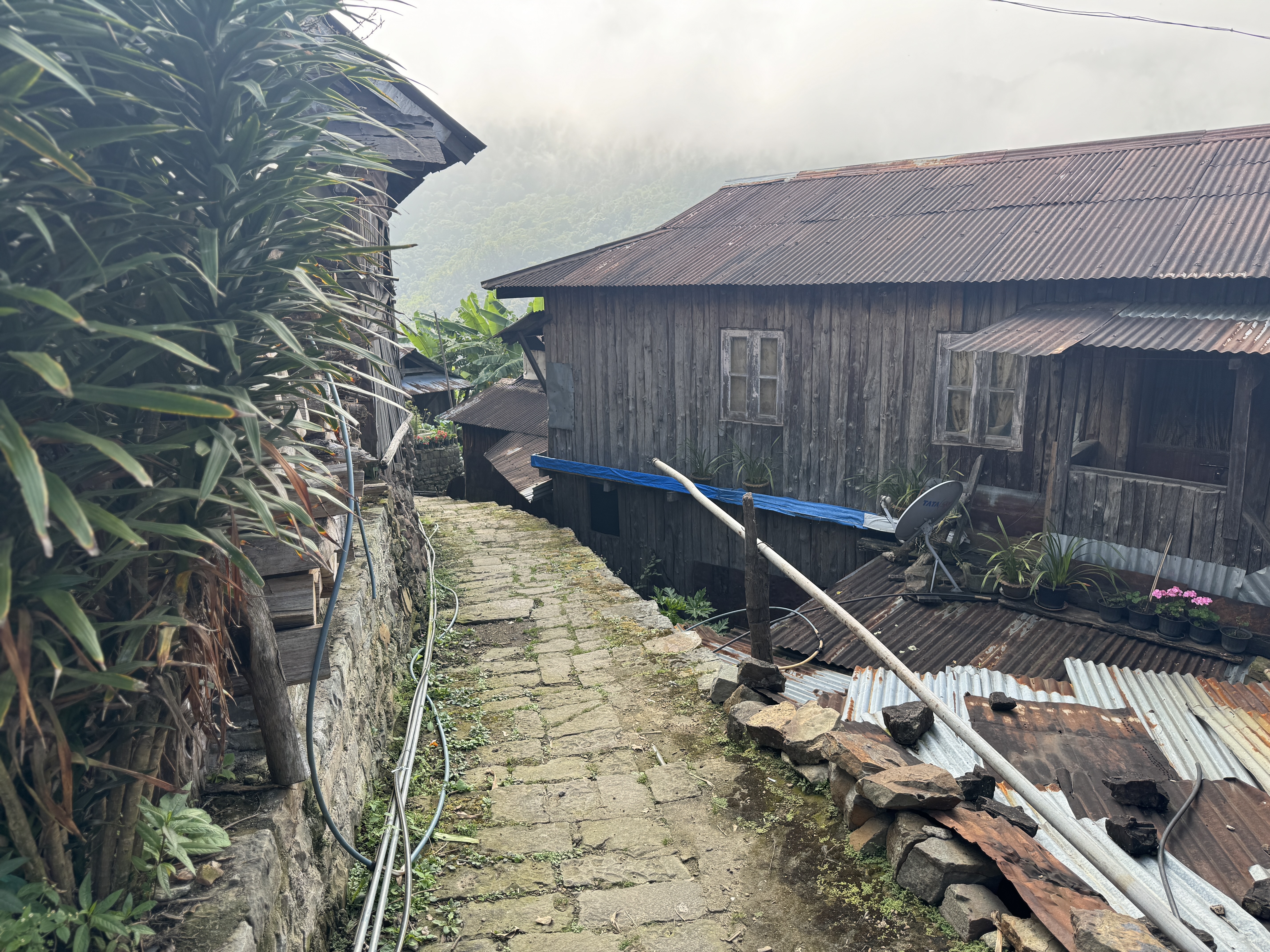 There are some surviving village lanes that have a rustic feel.  Stone, seen in the path and the protection wall on the left, is traditional