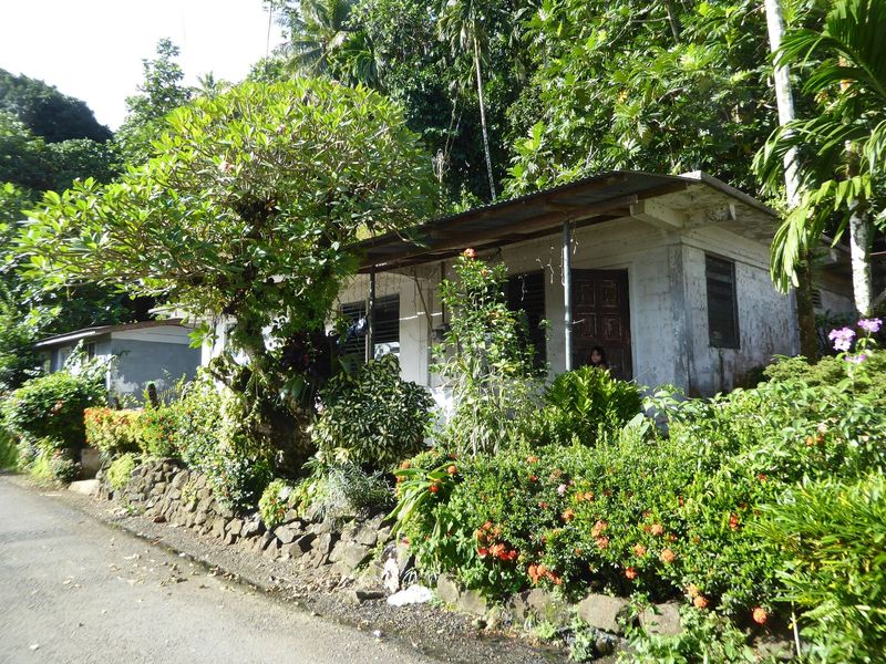 Roadside houses on Sokehs Island.
