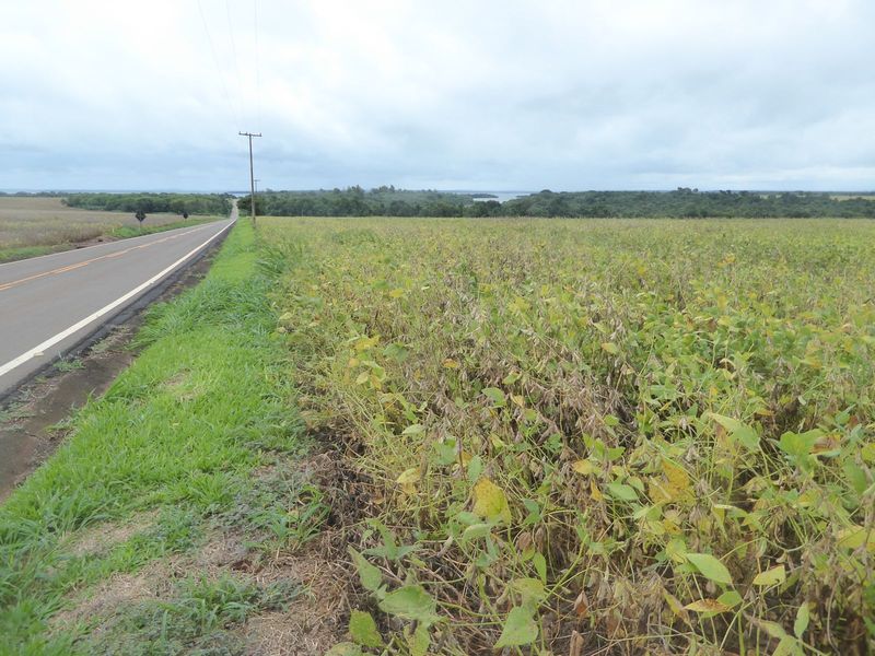 We're on PR-874, a spur road dead-ending at the reservoir up ahead and formed by the great Itaipu Dam, which lucky you! we're not going to v