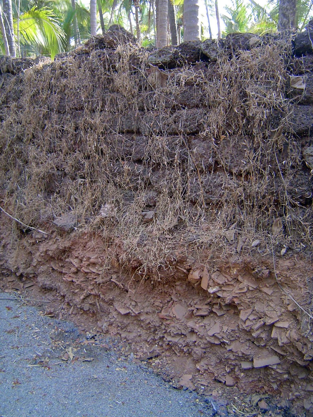 It almost takes an archaeologist to sort it out: the relics of ancient Goa are not the stone blocks in the upper half of this picture. They'