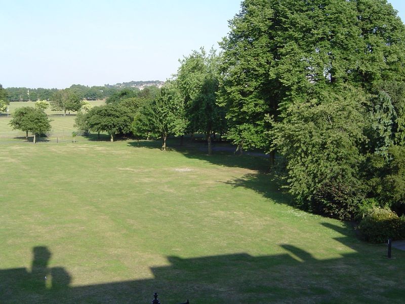 The view from the bedroom. Not your average London backyard.