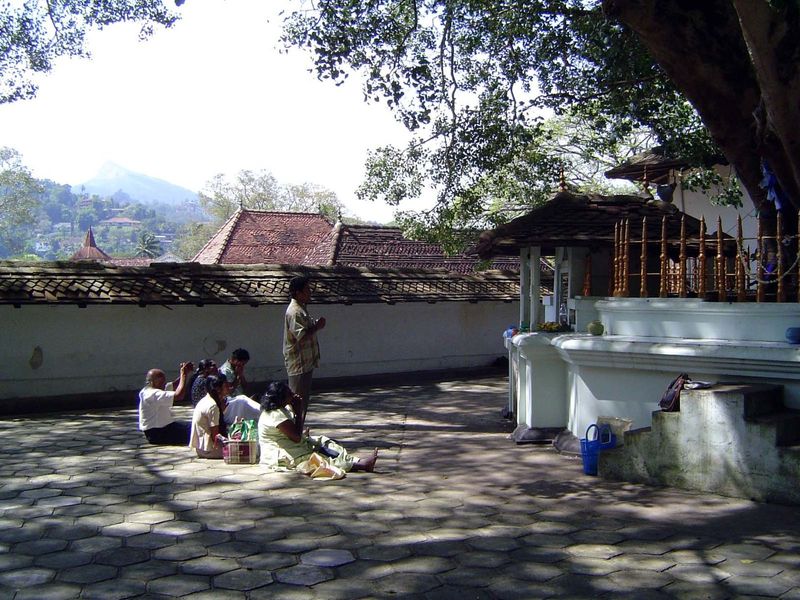 Outside, there's a small bo-tree shrine.