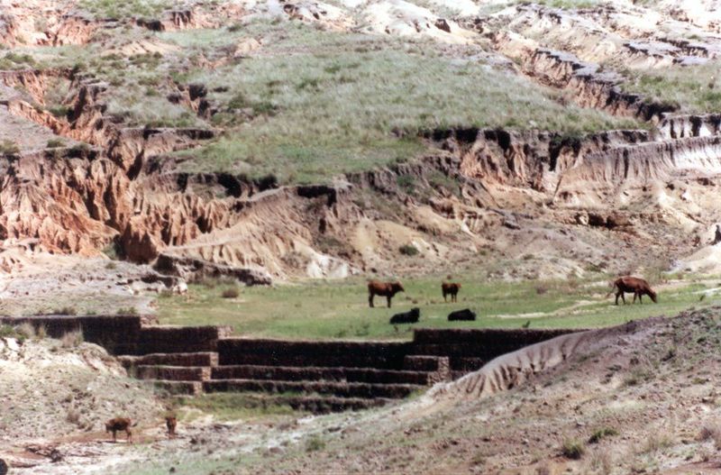 Africans were thrown back into reserves where the land was despoiled, notwithstanding soil-erosion measures that came too little, too late.