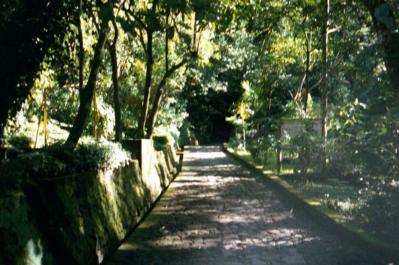 Paths lead upward. At first they're substantial.