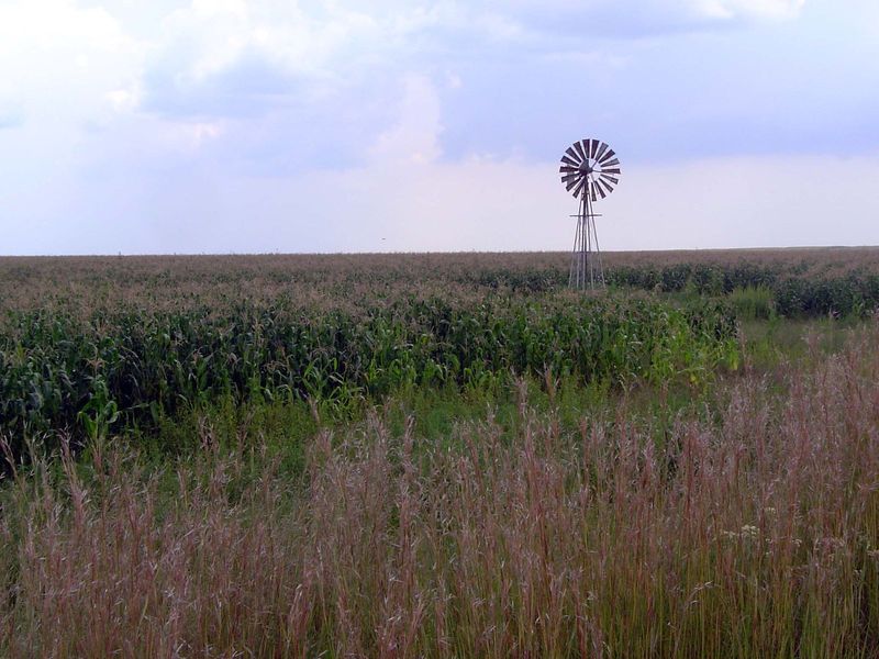 A hint of farmsteads lost as farms grew larger.