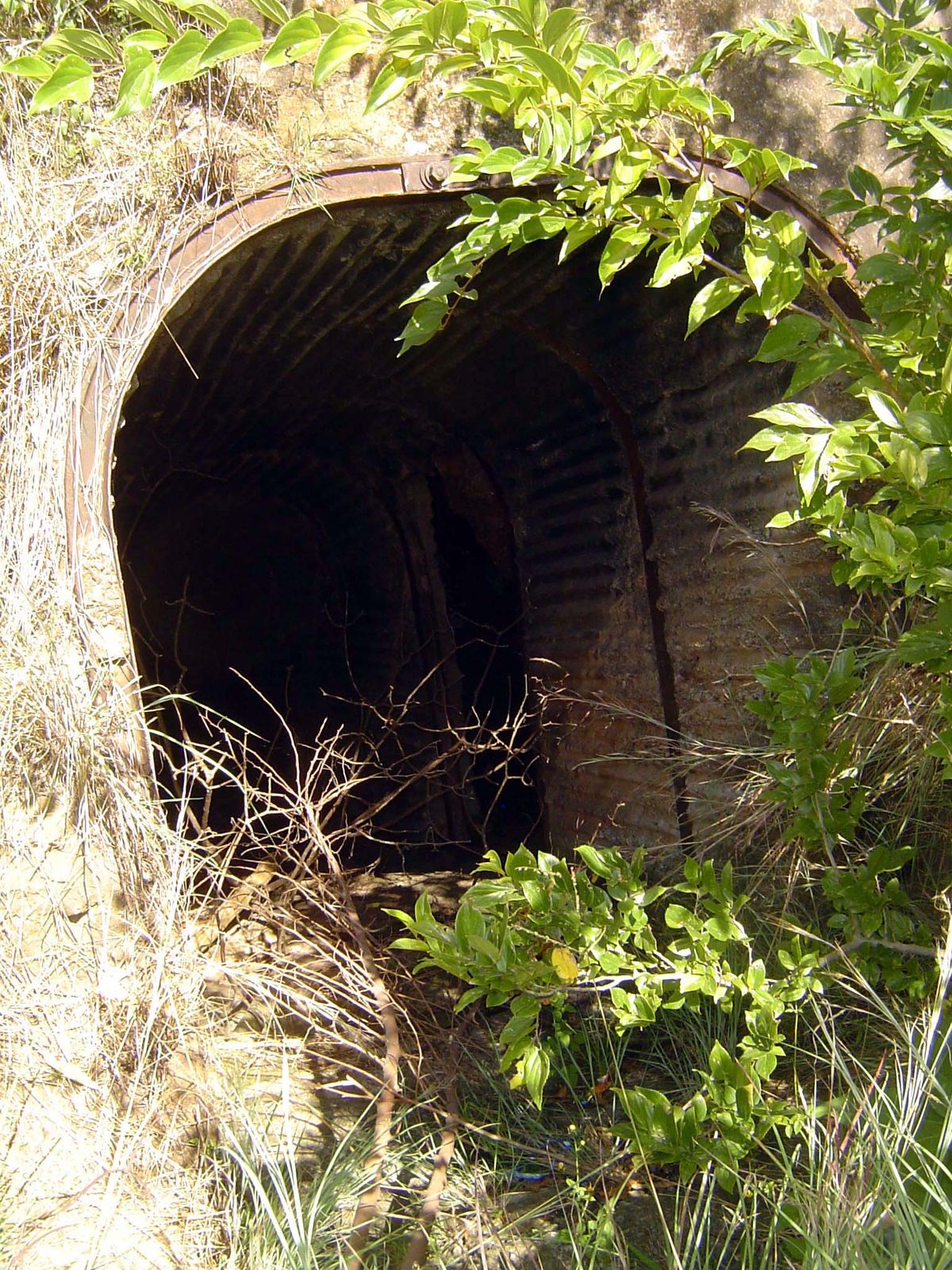 On the spot, an almost inaccessible abandoned shaft runs along the bedding plane.