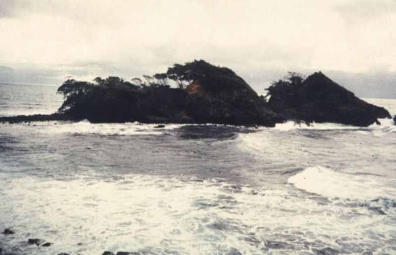 Windswept islands off Point Galera.