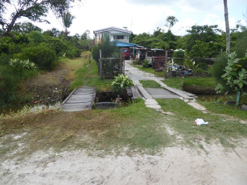 Same ditch, with bridge and homestead.