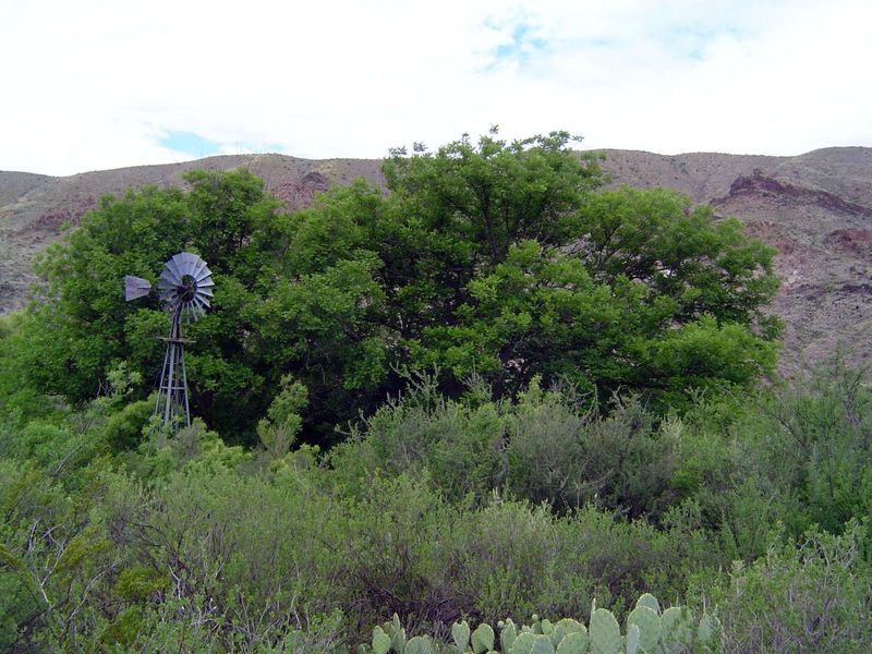 Where there was water in the Big Bend country, there was likely to be settlement. In this case, one Sam Nail. His ranch, like others within 