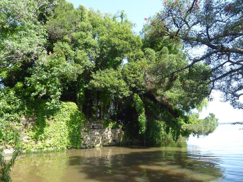 A pleasant bit of old, inaccessible waterside wall. The color of the water is a reminder that this is freshwater.
