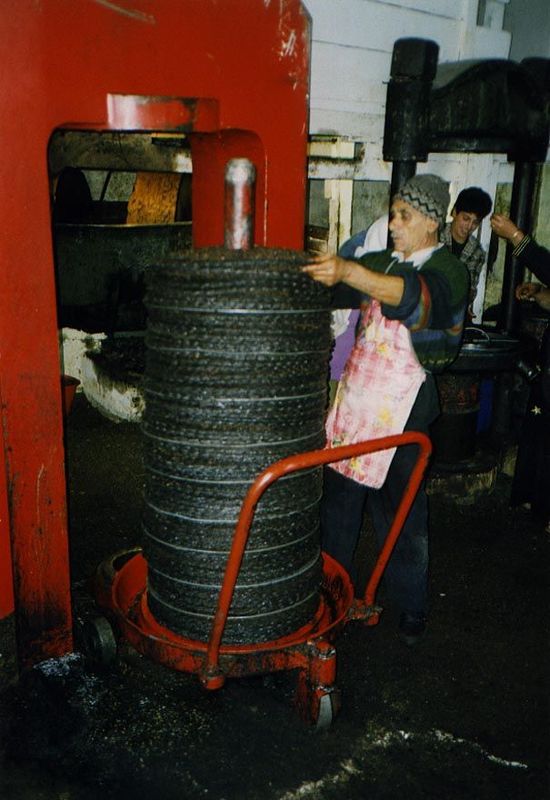 Bethlehem also has a large modern oil-pressing mill as well as the ruins of old stone ones. Here is an intermediate technology in a small mi