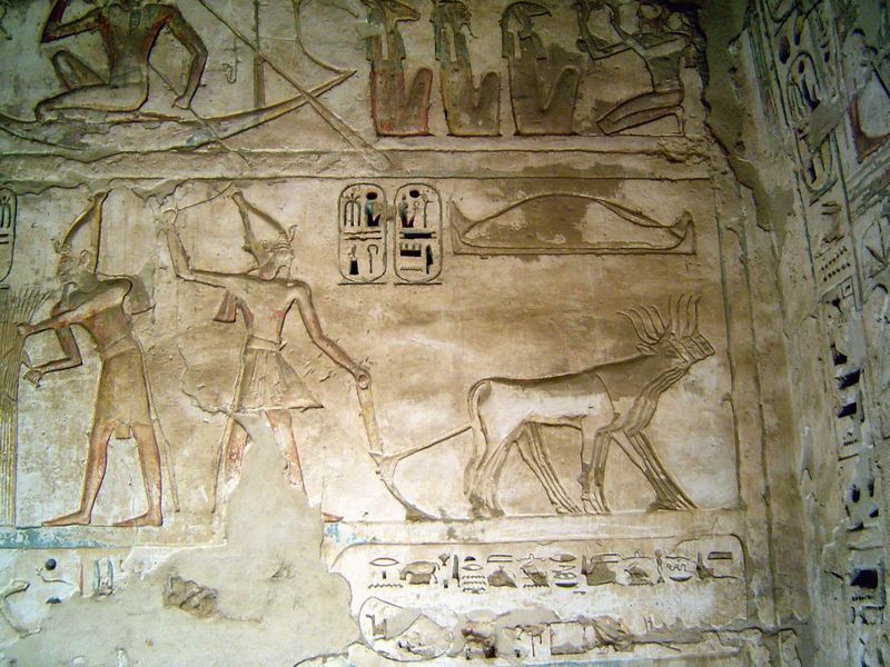 From the same panel, the king drives oxen. An inscription reads: "I know the lakes of the fields of offerings which I am. I am strong therei
