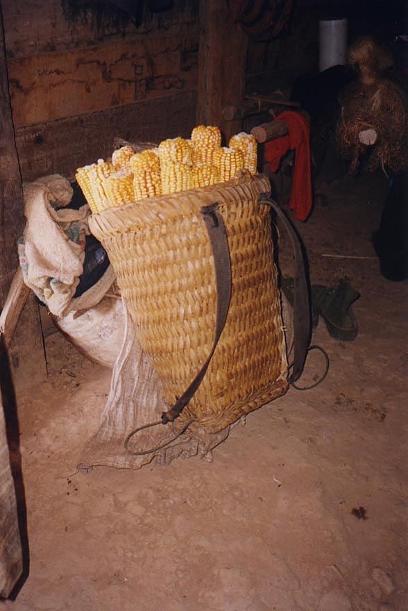 Over in another corner, a pannier was filled with corn—an American plant that's found its way here.