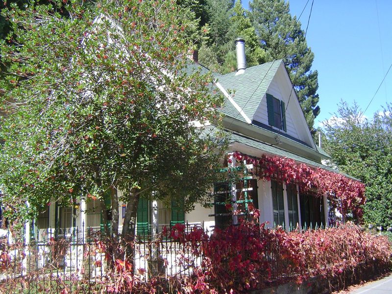 Perhaps because no other economy replaced the miners, Downieville can claim that it is the most intact of all California's Gold Rush towns.